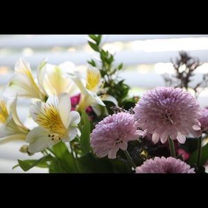 Meet your Posher, Leslie